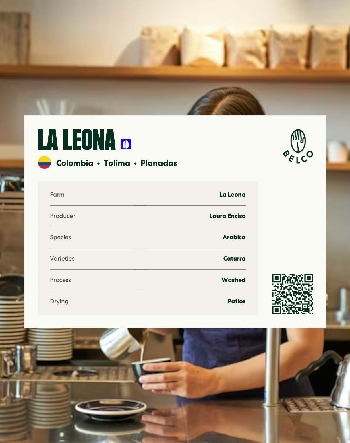 Fiche cupping - A6 carte postale